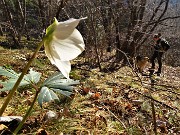 Monte Gioco ad anello da Spettino via Lepreno-6genn22- FOTOGALLERY